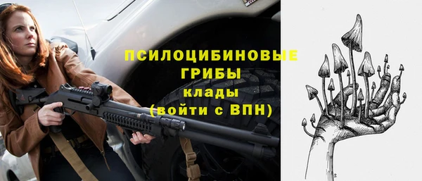 прущие крисы Богородицк