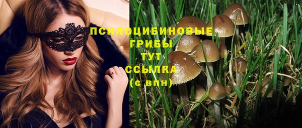 альфа пвп Богданович