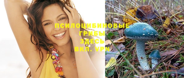 альфа пвп Богданович
