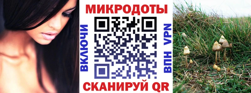 Псилоцибиновые грибы Psilocybine cubensis  где можно купить   Энем 